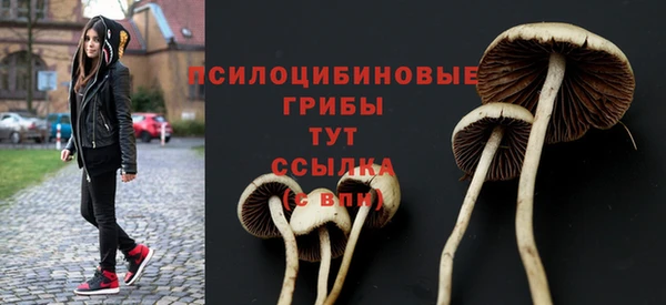 спиды Балахна